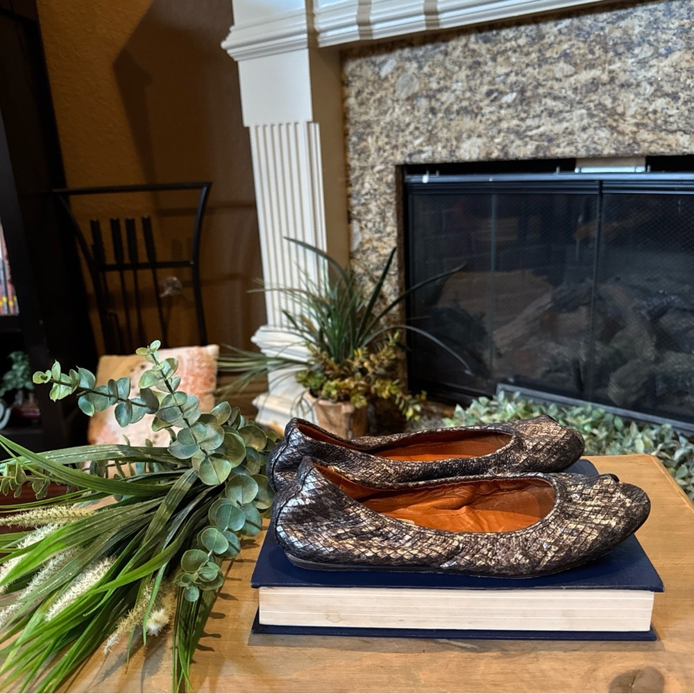 Lanvin Women’s Silver Grey Python Flats. Made In … - image 1